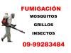 PLAGAS EN SU HOGAR / INSECTOS