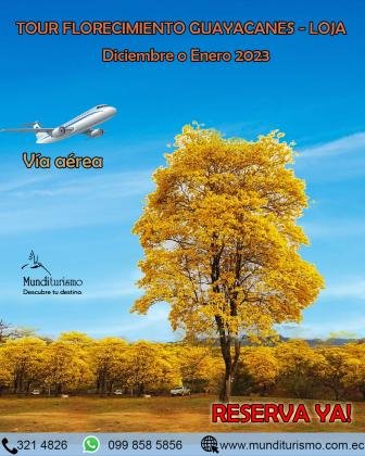 TOUR FLORECIMIENTO DE LOS GUAYACANES ENERO 2023 LOJA - VÍA AÉREA