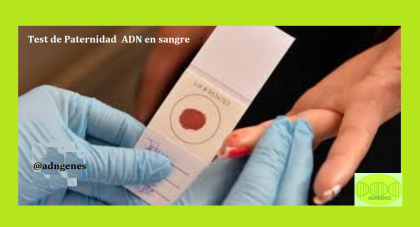 TEST DE PATERNIDAD ADN EN MUESTRAS DE SANGRE